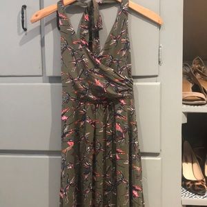 Boden cotton hummingbird print halter dress